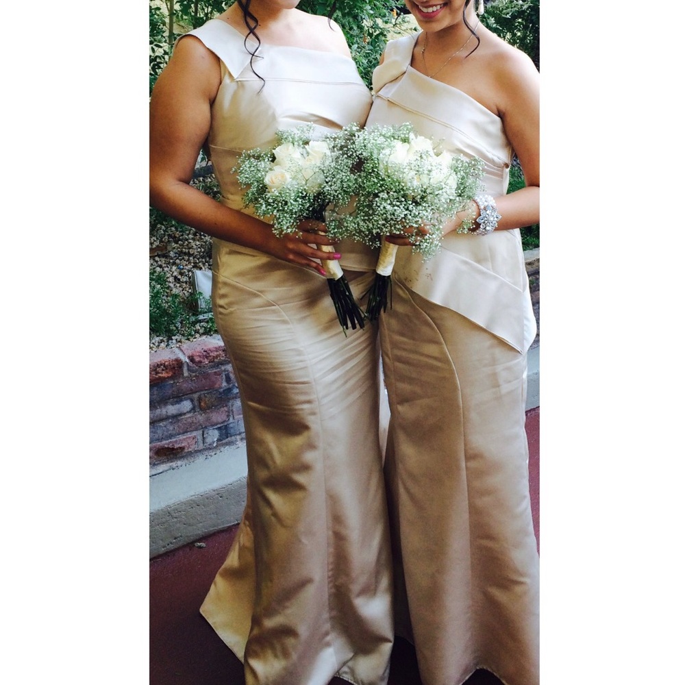 Vera wang champagne dress